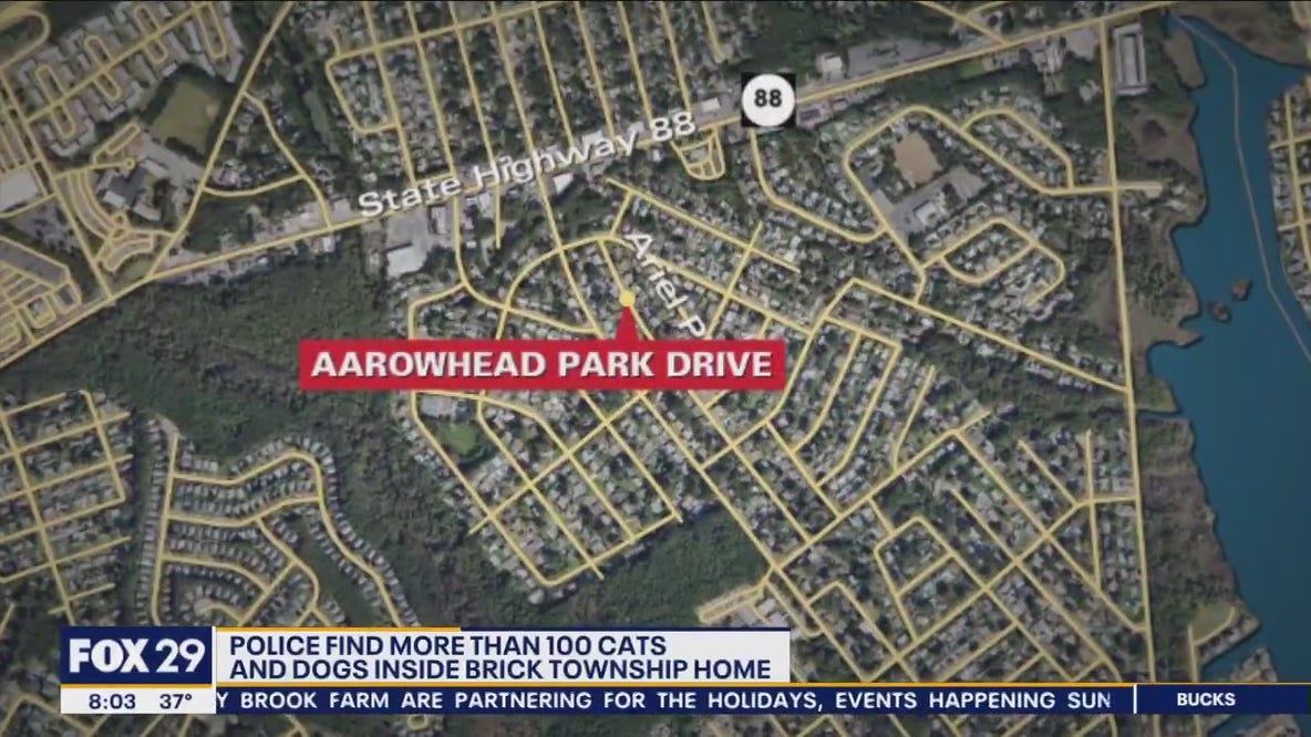 More than 180 animals found inside home in Brick Township